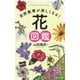 自然散策が楽しくなる!花図鑑 [単行本]