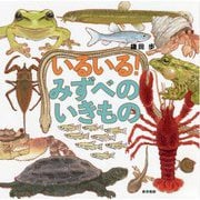 いるいる！みずべのいきもの [絵本]