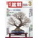 近代盆栽 2022年 03月号 [雑誌]
