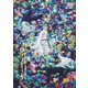 ミュージカル『ヴェラキッカ』 [DVD]