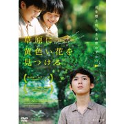 草原に黄色い花を見つける