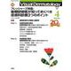 Ｖｉｓｕａｌ　Ｄ．　２０２２年４月号　Ｖｏｌ．２１　Ｎｏ．４(Ｖｉｓｕａｌ　Ｄｅｒｍａｔｏｌｏｇｙ) [全集叢書]