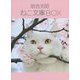 ねこ文庫BOX [単行本]