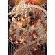 妖し―JAPANESE STYLE ILLUSTRATIONS [単行本]