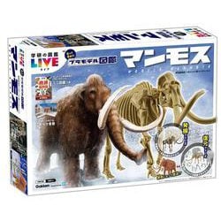 マンモス(プラモデル図鑑) [ムックその他]