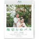 梅切らぬバカ [Blu-ray Disc]