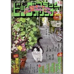 ビッグコミックオリジナル増刊 2022年 3/12号 [雑誌]