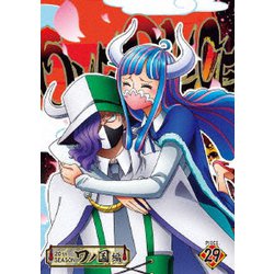 ONE PIECE ワンピース 20THシーズン ワノ国編 PIECE.29 [DVD]