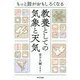 もっと話がおもしろくなる 教養としての気象と天気 [単行本]