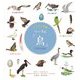 イラスト図鑑 リーブル「鳥」 [図鑑]