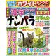 ナンパラ SPECIAL (スペシャル) 2022年 03月号 [雑誌]