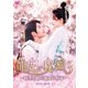 寵妃の秘密3 ～時空を結ぶ運命の約束～ DVD-BOX2 [DVD]