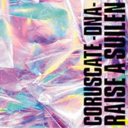 RAISE A SUILEN／CORUSCATE -DNA-