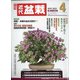 近代盆栽 2022年 04月号 [雑誌]