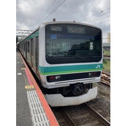 JR東日本 成田線・常磐線直通快速運転席展望 成田 ⇒ 上野 4K撮影作品 [DVD]