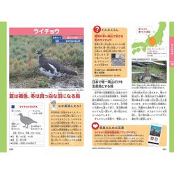 ヨドバシ.com - みんなが知りたい!日本の「絶滅危惧」動物がわかる本