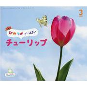 サンチャイルドビッグサイエンス 3月号 [絵本]