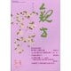 観世 2022年 03月号 [雑誌]