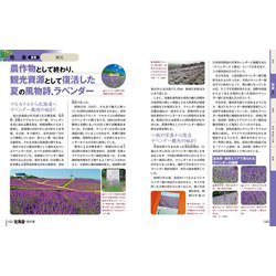 ヨドバシ.com - 北海道の教科書(大人のための地元再発見シリーズ