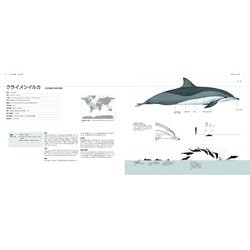 世界のクジラ・イルカ百科図鑑｜動物学一般