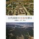 古代国府の実像を探る [全集叢書]