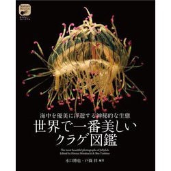 世界で一番美しいクラゲ図鑑―海中を優美に浮遊する神秘的な生態(ネイチャー・ミュージアム) [単行本]