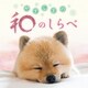 やすらぎの和のしらべ