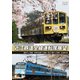 開業120周年記念 近江鉄道全線運転席展望 貴生川 ⇒ 米原 多賀大社前 ⇒ 高宮 近江八幡 ⇒ 八日市 4K撮影作品 [DVD]