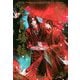 天官賜福〈1〉(Daria Series uni) [単行本]