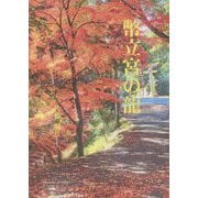 幣立宮の龍 [文庫]