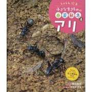 アリ(しゃしん絵本 小さな生きものの春夏秋冬〈4〉) [単行本]