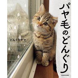 パヤ毛のどんぐり [単行本]