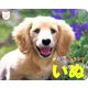 かわいいどうぶつ いぬ(ジュリアンのしゃしんえほん〈1〉) [図鑑]