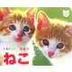 かわいいどうぶつ ねこ(ジュリアンのしゃしんえほん〈2〉) [図鑑]
