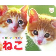 かわいいどうぶつ ねこ(ジュリアンのしゃしんえほん〈2〉) [図鑑]