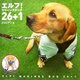 エルフ!マリーンズドッグ26+1 [単行本]