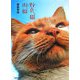 野良っ猫 街っ猫 [単行本]