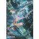 世界2・0―メタバースの歩き方と創り方 [単行本]
