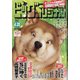 ビッグコミックオリジナル 2022年 4/20号 [雑誌]