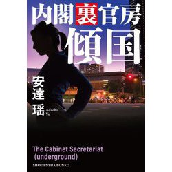 傾国―内閣裏官房(祥伝社文庫) [文庫]