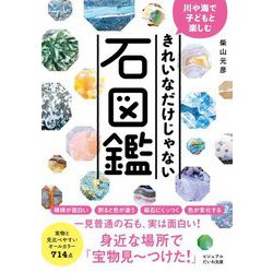 きれいなだけじゃない石図鑑―川や海で子どもと楽しむ(ビジュアルだいわ文庫) [文庫]