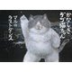 かなしきデブ猫ちゃん―マルのラストダンス [絵本]