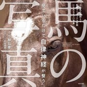見ているだけで自律神経が整う馬の写真 [単行本]