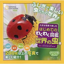 大きな写真で楽しむはじめてのわくわく図鑑 世界の虫編(ナショジオキッズ) [図鑑]