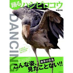踊るハシビロコウ [単行本]