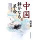 中国 静かなる革命―官製資本主義の終焉と民主化へのグランドビジョン [単行本]