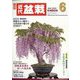 近代盆栽 2022年 06月号 [雑誌]