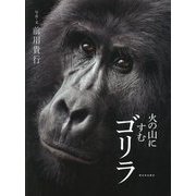 火の山にすむゴリラ [単行本]