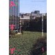 みすず 2022年 05月号 [雑誌]