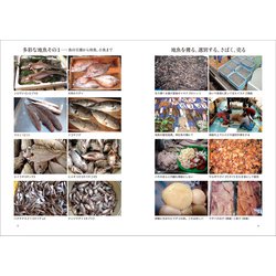 ヨドバシ.com - 地魚の文化誌―魚食をめぐる人の営み [単行本] 通販